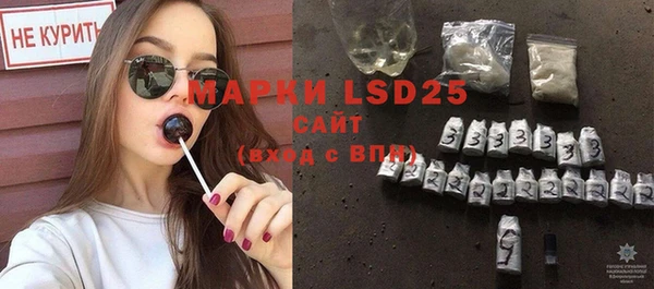 ПСИЛОЦИБИНОВЫЕ ГРИБЫ Белокуриха