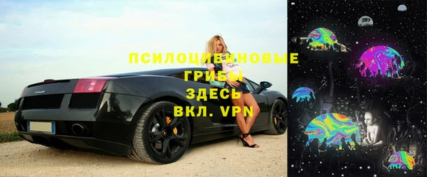 ПСИЛОЦИБИНОВЫЕ ГРИБЫ Белокуриха