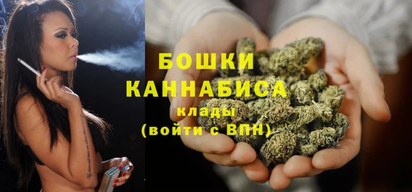 ПСИЛОЦИБИНОВЫЕ ГРИБЫ Белокуриха